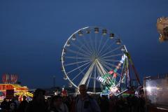 0181-GDSF