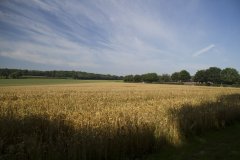 0002-Landschap