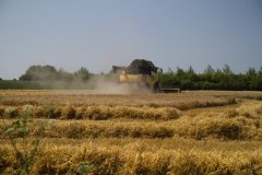 0003-Landschap