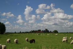 0004-Landschap