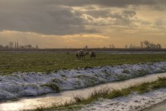 0015-Landschap