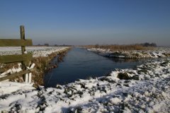 0016-Landschap
