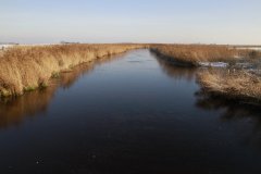 0018-Landschap