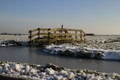 0019-Landschap