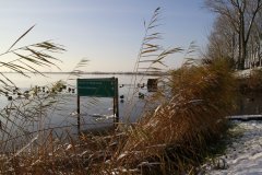 0020-Landschap