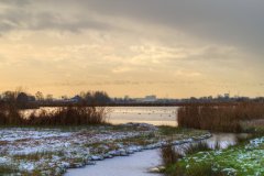 0021-Landschap