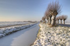 0022-Landschap