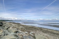 0024-Landschap